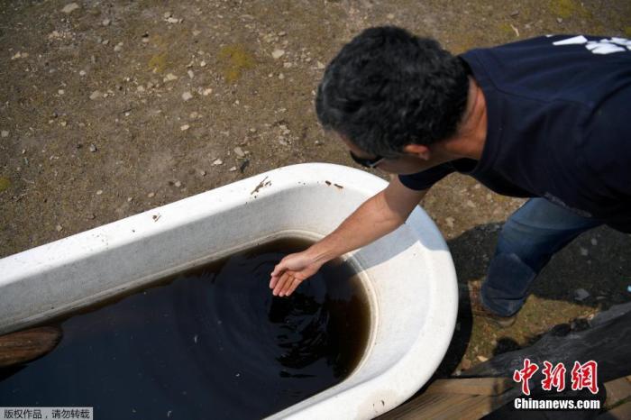 当地时间1月12日，澳大利亚库玛（Cooma）附近的一处民居旁，一只储物盆里落满了被灰烬污染成褐色的雨水。据介绍，盆里的雨水还散发出一股浓烟味。自2019年9月初火灾开始以来，这场大火已造成至少27人死亡，2000多座房屋被毁，烧毁的土地面积相当于一整个韩国，对生态环境造成严重破坏。